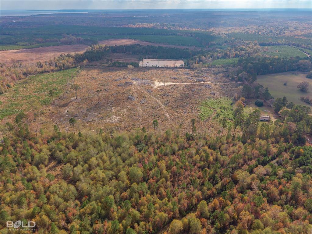 Logansport, Louisiana 71049, United States, ,Land,Active,245198