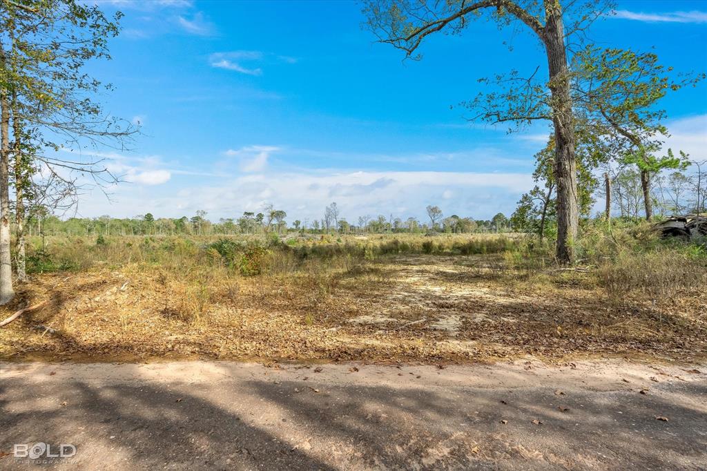 Logansport, Louisiana 71049, United States, ,Land,Active,245198