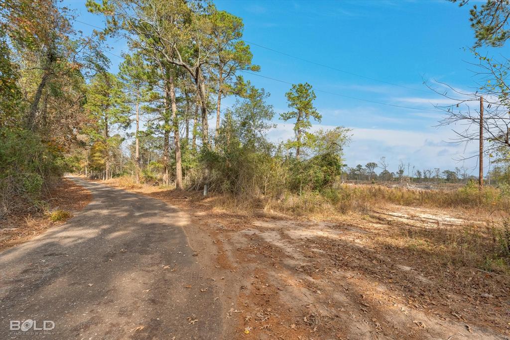 Logansport, Louisiana 71049, United States, ,Land,Active,245198