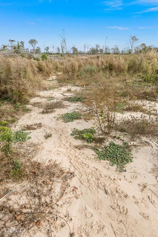 Logansport, Louisiana 71049, United States, ,Land,Active,245198