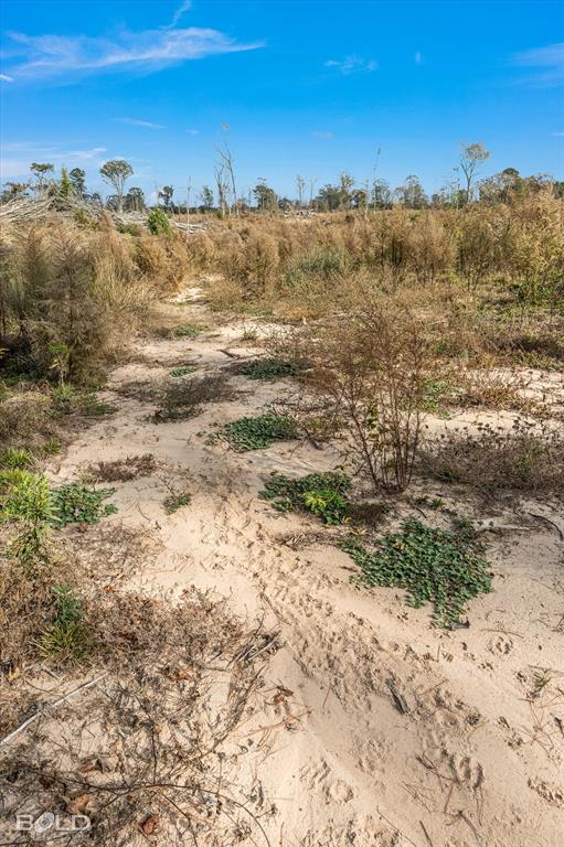 Logansport, Louisiana 71049, United States, ,Land,Active,245198