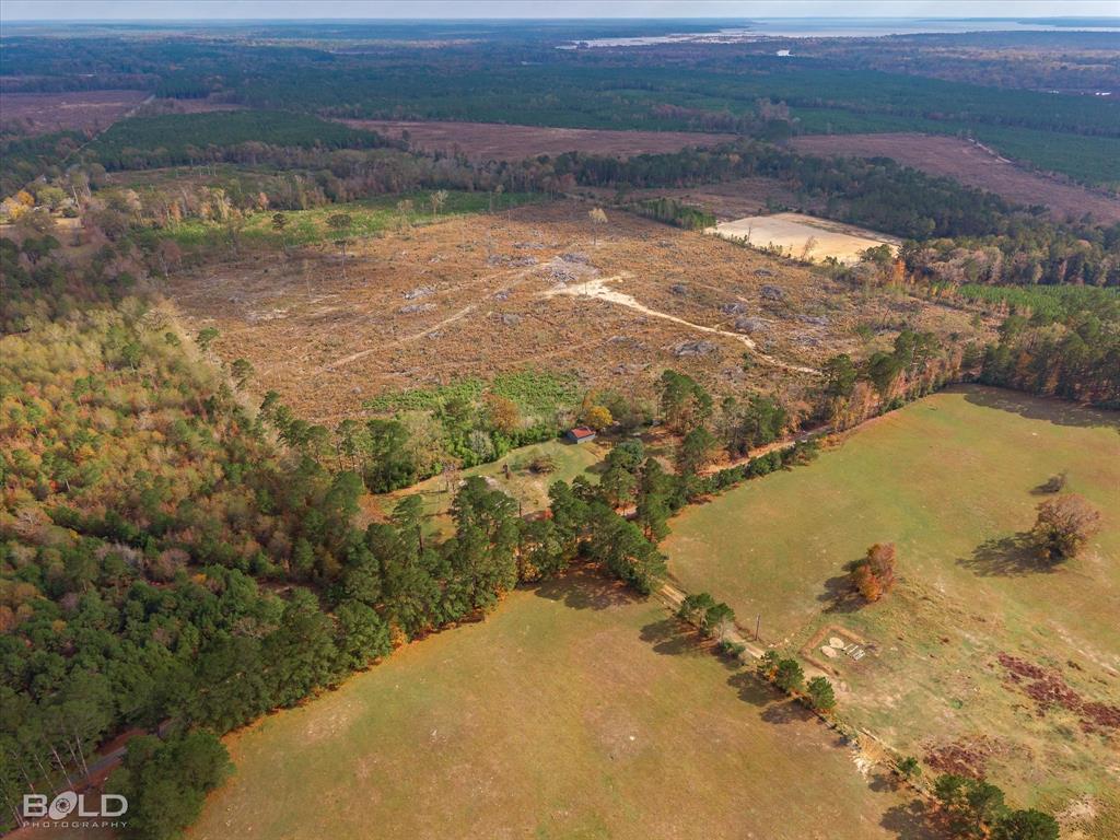 Logansport, Louisiana 71049, United States, ,Land,Active,245198