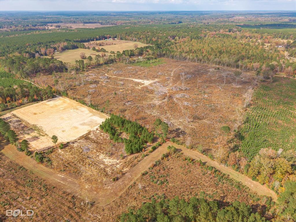 Logansport, Louisiana 71049, United States, ,Land,Active,245198