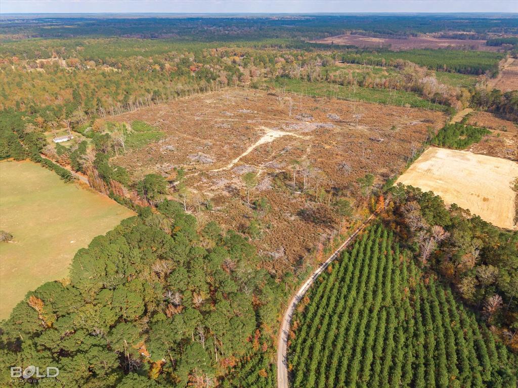 Logansport, Louisiana 71049, United States, ,Land,Active,245198