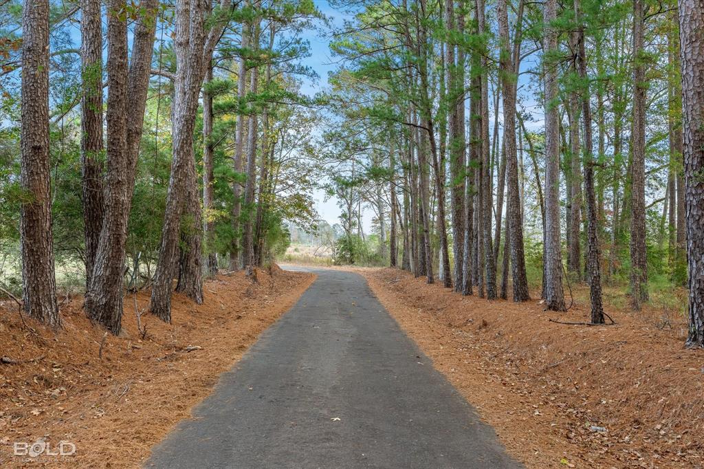 Logansport, Louisiana 71049, United States, ,Land,Active,245198