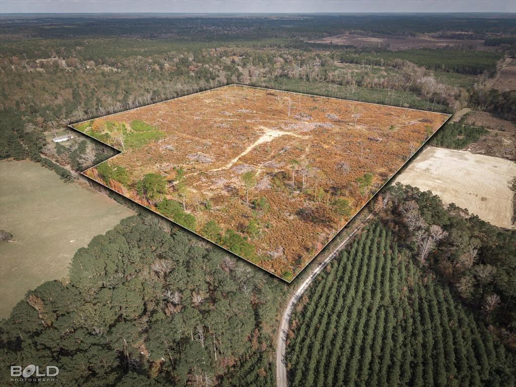 Logansport, Louisiana 71049, United States, ,Land,Active,245198