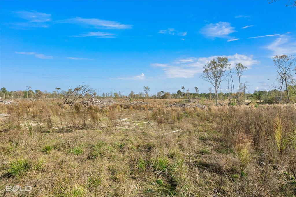 Logansport, Louisiana 71049, United States, ,Land,Active,245198