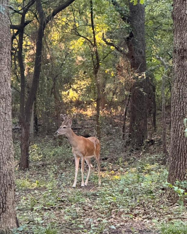 Cielo Ranch - Residential