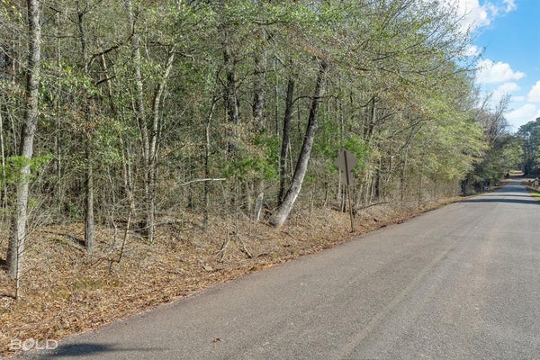 MOCKINGBIRD LN, PLAIN DEALING, LA 71064 - Image 8bed87facd7512a70fcfd0136b58bd1a/1059907686