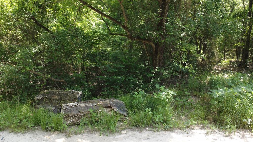 Indian Head Estate - Land