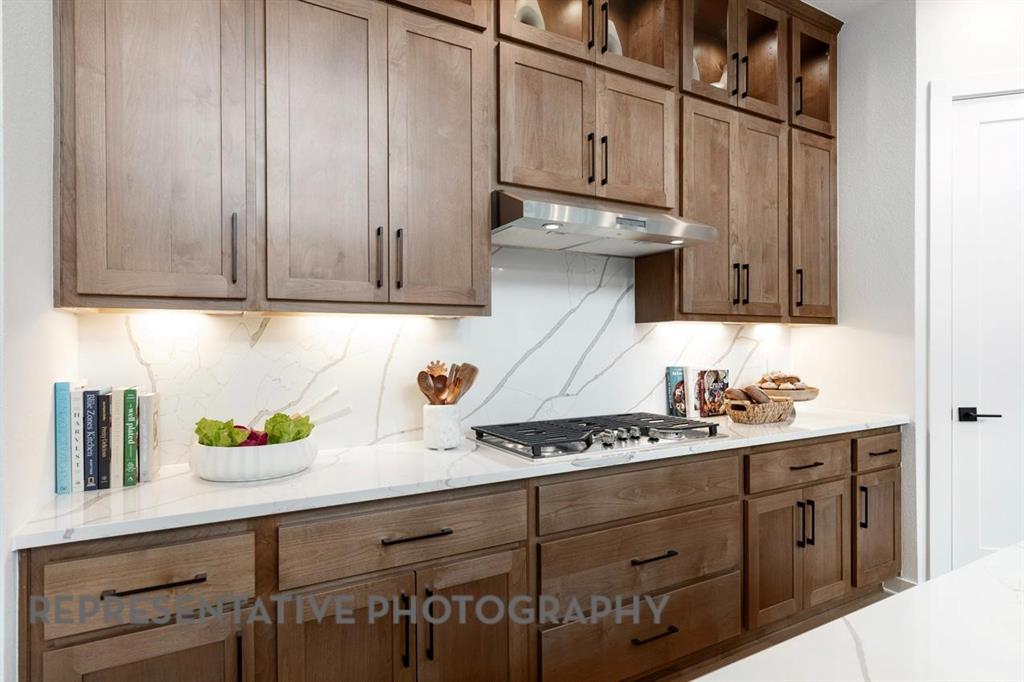 3725 American Paint Drive