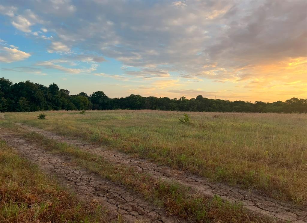 L.B.Ham A-G0554 - Land