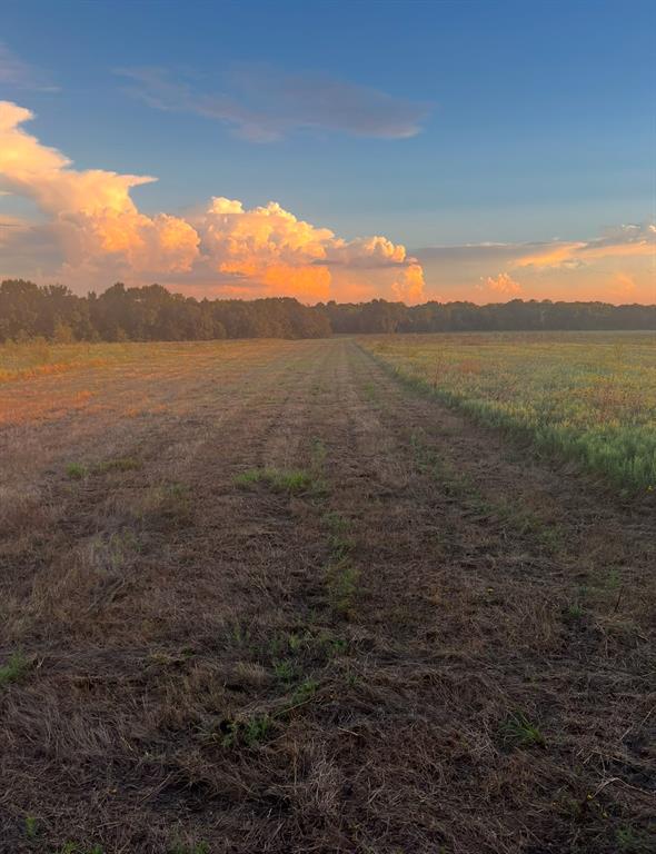 L.B.Ham A-G0554 - Land