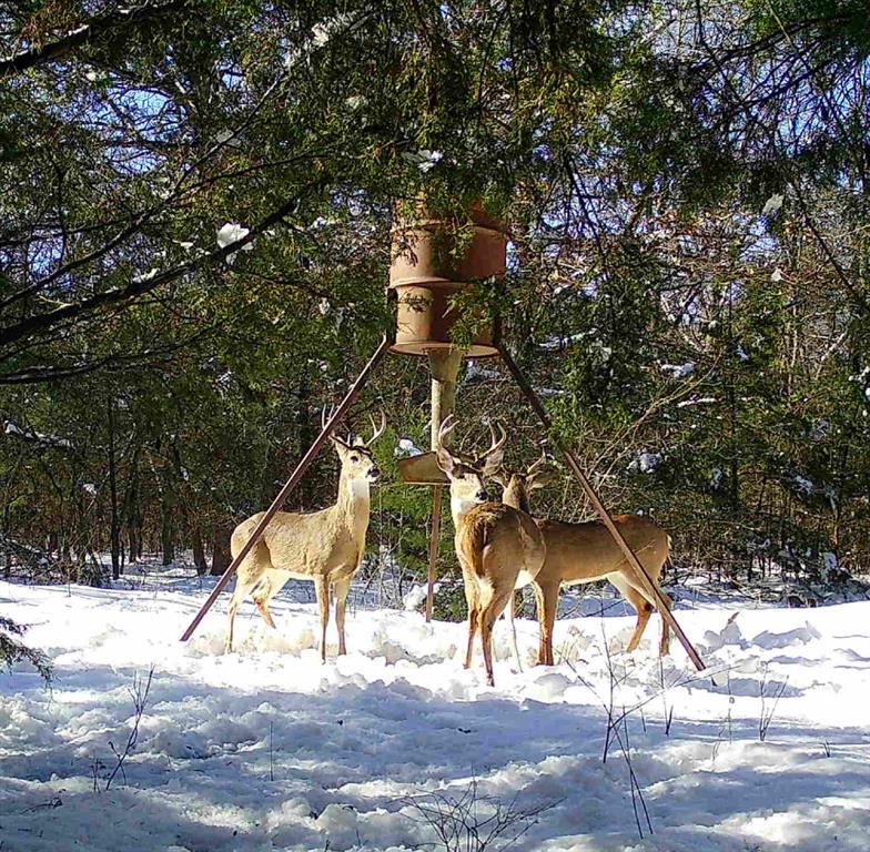 L.B.Ham A-G0554 - Land