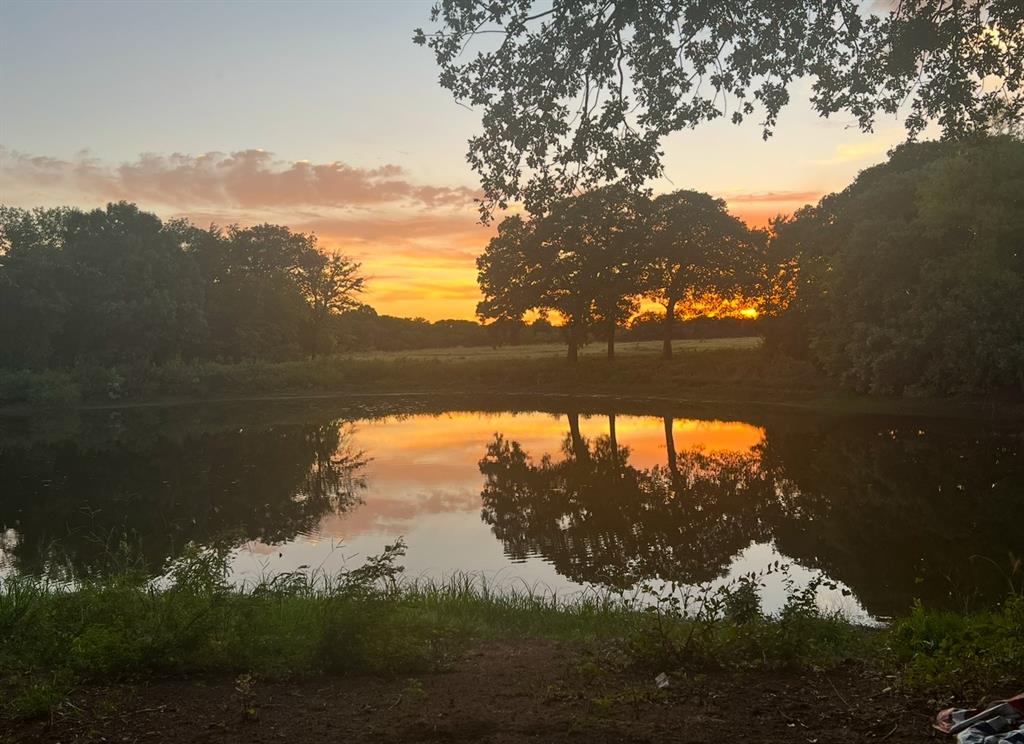 L.B.Ham A-G0554 - Land