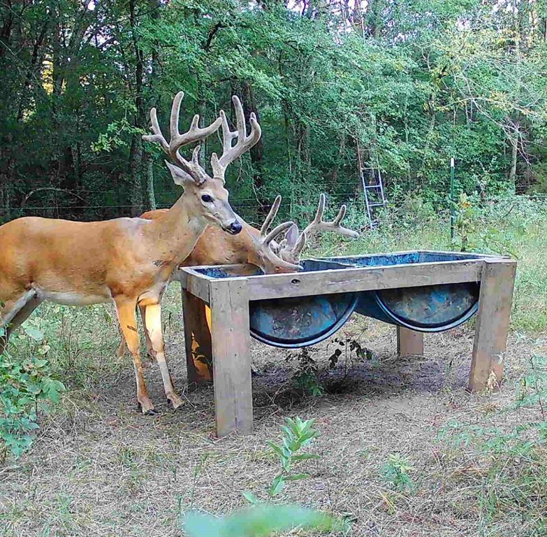 L.B.Ham A-G0554 - Land