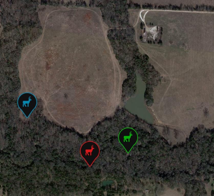 L.B.Ham A-G0554 - Land