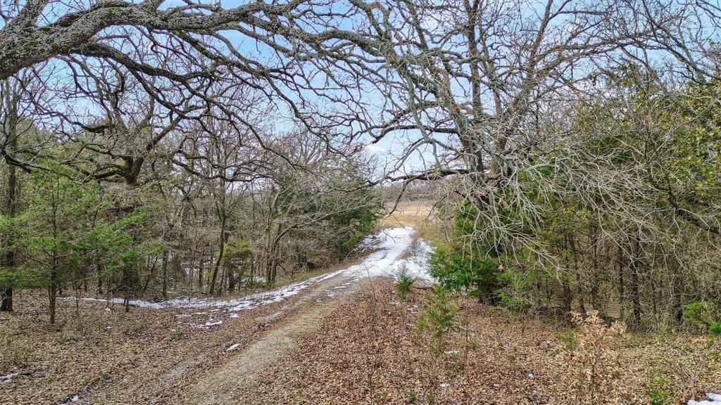 L.B.Ham A-G0554 - Land