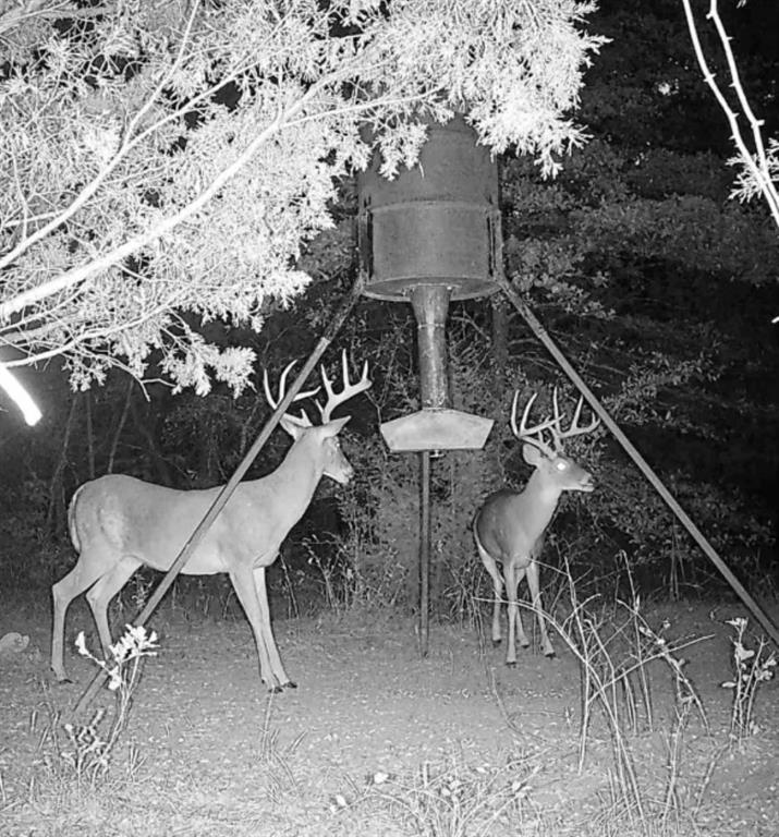 L.B.Ham A-G0554 - Land