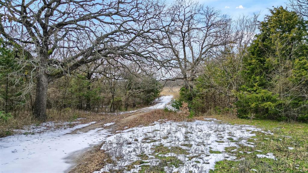 L.B.Ham A-G0554 - Land