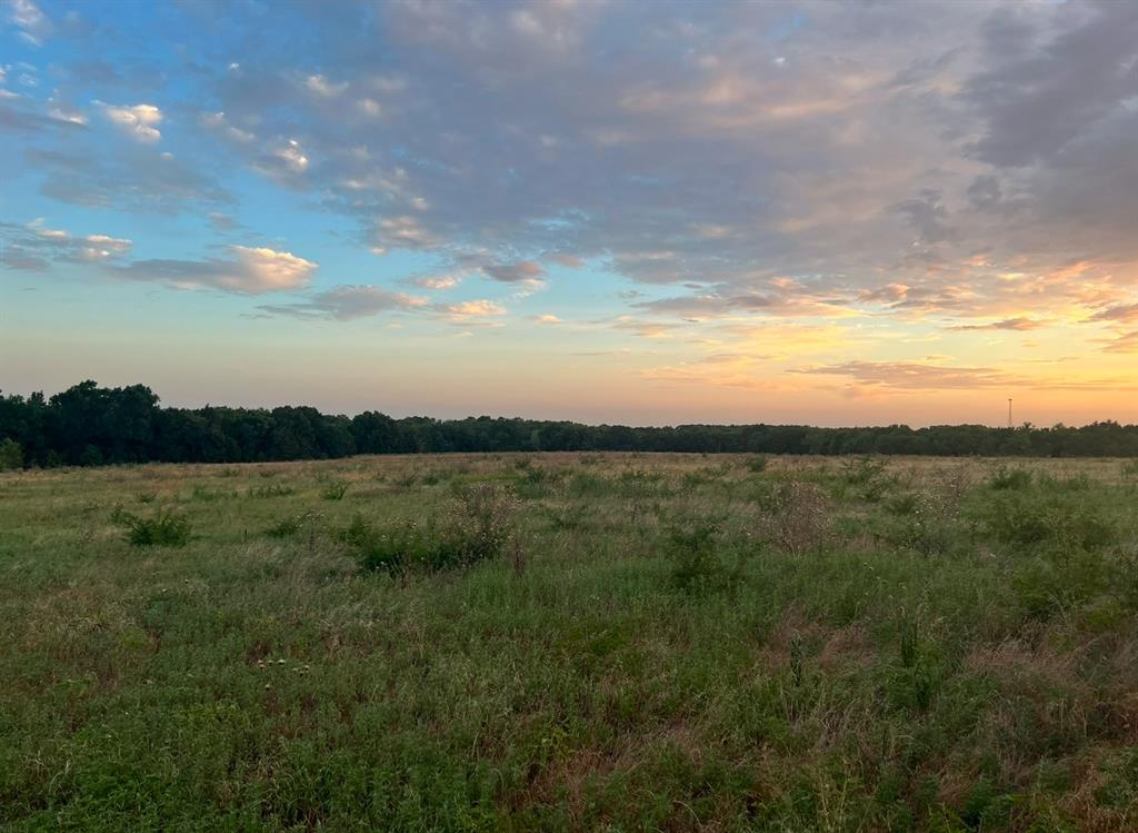 L.B.Ham A-G0554 - Land