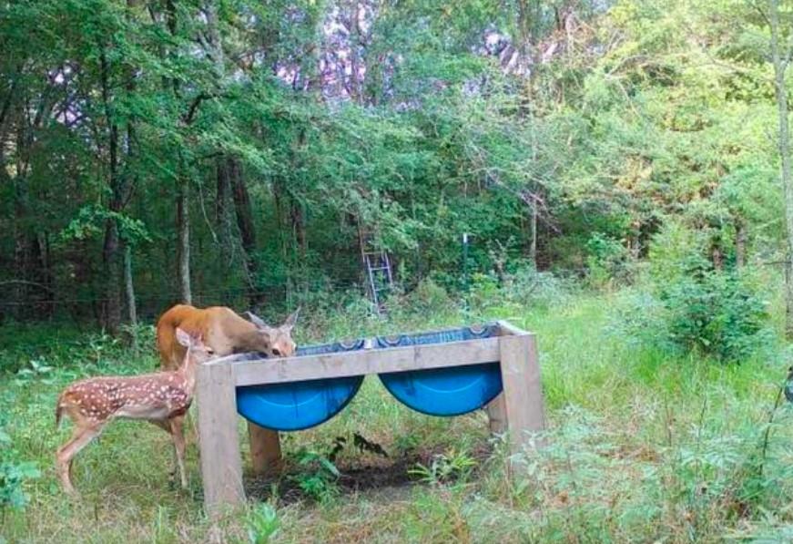 L.B.Ham A-G0554 - Land