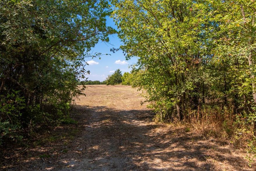 Nestled between Hwy 78 & Hwy 121, the access to this property is excellent. Tree lined on the county rd with a treed canopy entrance offer seclusion from the rd. Open pasture with some fencing & trees on the boundary lines gives you that blank canvas to paint your own destination. This property is prime for a long-term investment, a cute homestead with the house placed about half-way back on the higher level offering beautiful views of the moon as it rises or even around back where the property offsets to the right offering more privacy. The central location between 2 major highways in the area as well as no restrictions known make this property perfect for commercial use including a RV Park, Mini Storage Facility, Covered Storage Facility, Auto Repair Shop, etc. The possibilities are endless on this one. With the acreage currently having the ag exemption for property taxes, the land is being cut for hay allowing new owners to have lower taxes as well as very little maintenance costs.