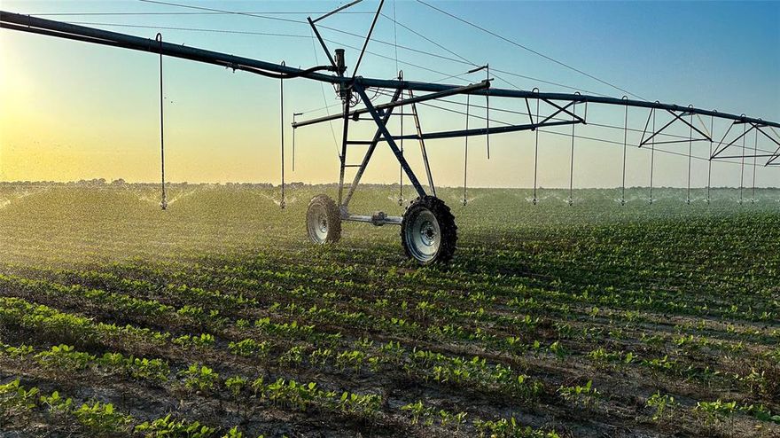 2,523+-acre farm located South of Clarksville, Texas.  Multiple parcel farm portfolio comprising of 2,080+ acres tillable of which 750 acres is under pivot irrigation.  Dominate soil types are Deport, Houston and Burleson clay soils.    Water risk is mitigated with reservoir storage, no wells, and each pivot was designed for extra storage for drought years.  All utilities, pumps, pipelines and needed equipment in place and is included in sale.

Currently farm is tenant operated and professionally managed for improving the land through conservation, nutrients and wildlife.  The farm is set up for a buyer, operator or an investor with tenant farmer in place.  Recent crops include cotton, corn and soybeans.   A total of six Zimmatic pivots backed with multiple reservoirs water over 750 acres suitable for an array of crops; corn, cotton, milo, wheat, soybeans and improved grasses are grown in the area and the farm could be planted to permanent crops depending on what investors’ needs.  NOTE: Farm has room for additional irrigation if more is needed.

Disclaimer: All information provided herein was acquired from sources deemed reliable and is believed to be accurate. However, we do not warrant its accuracy or completeness and recommend that every item of interest be independently verified by Purchaser.