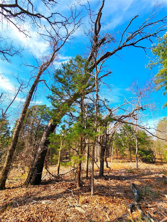 Safari Waters Ranch - Land