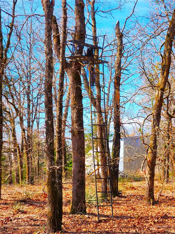 Safari Waters Ranch - Land