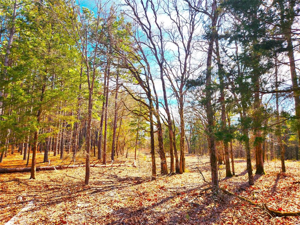 Safari Waters Ranch - Land