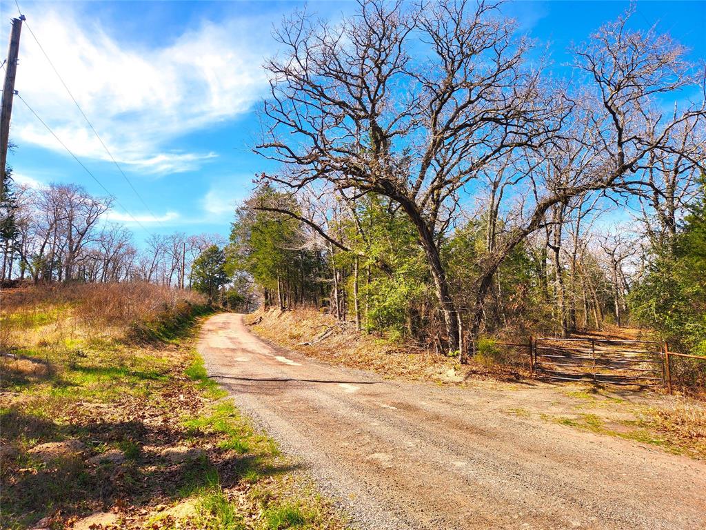 Safari Waters Ranch - Land