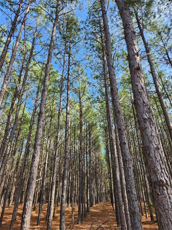 Safari Waters Ranch - Land