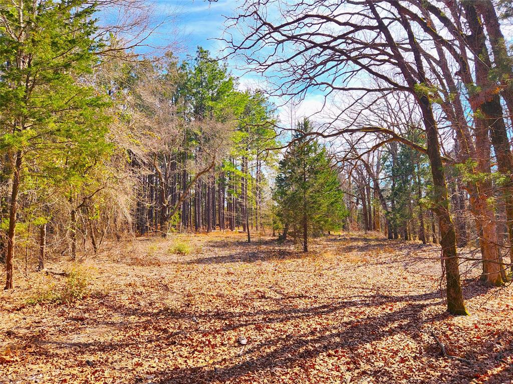 Safari Waters Ranch - Land