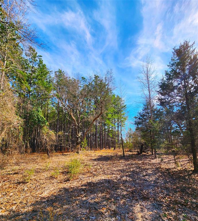 Safari Waters Ranch - Land