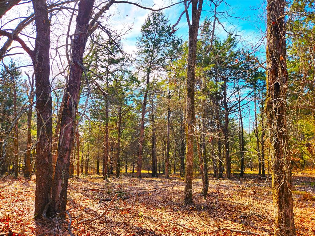 Safari Waters Ranch - Land