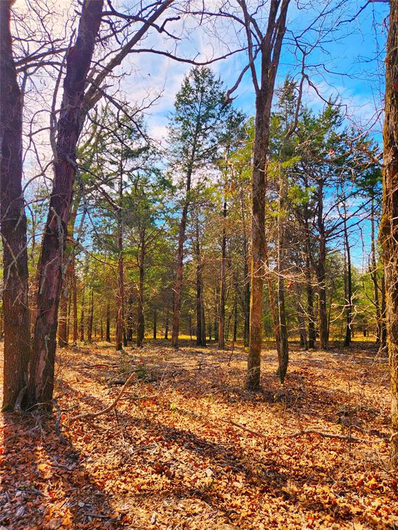 Safari Waters Ranch - Land