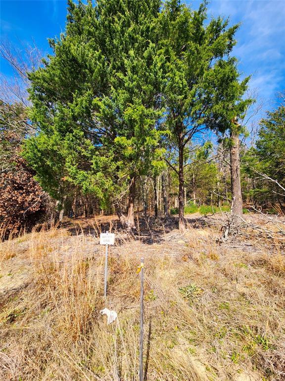 Safari Waters Ranch - Land