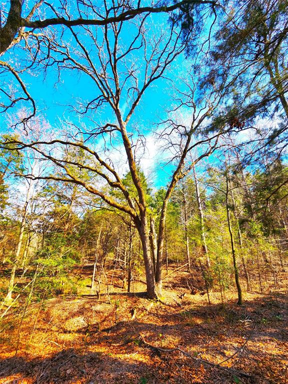 Safari Waters Ranch - Land