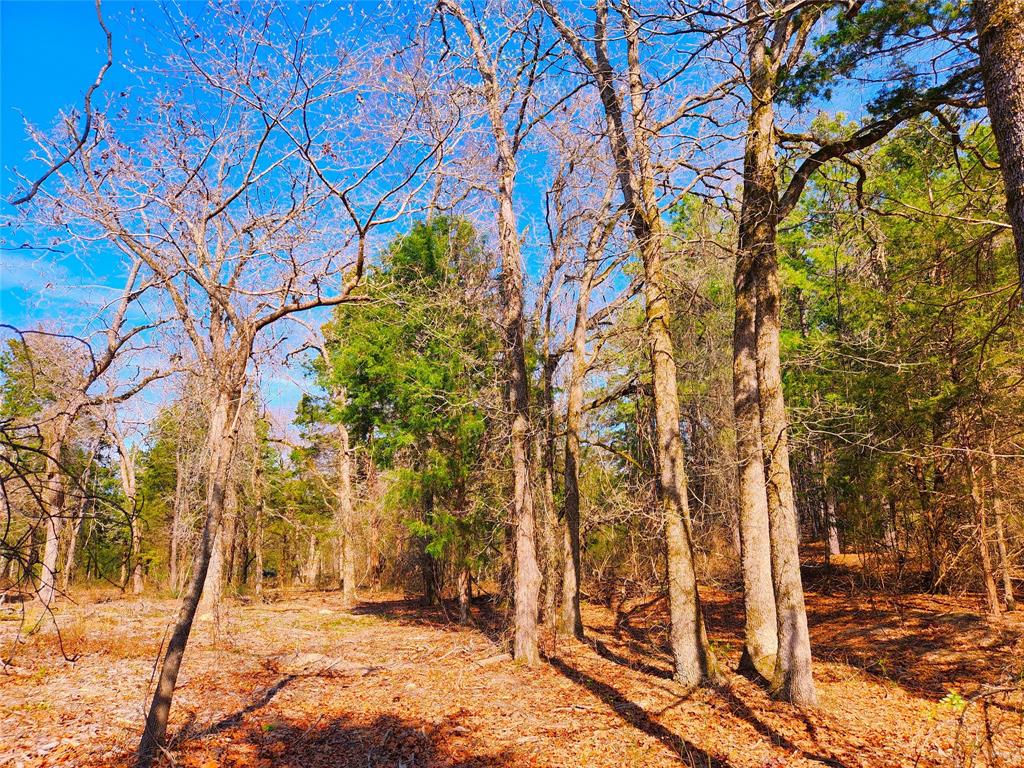Safari Waters Ranch - Land