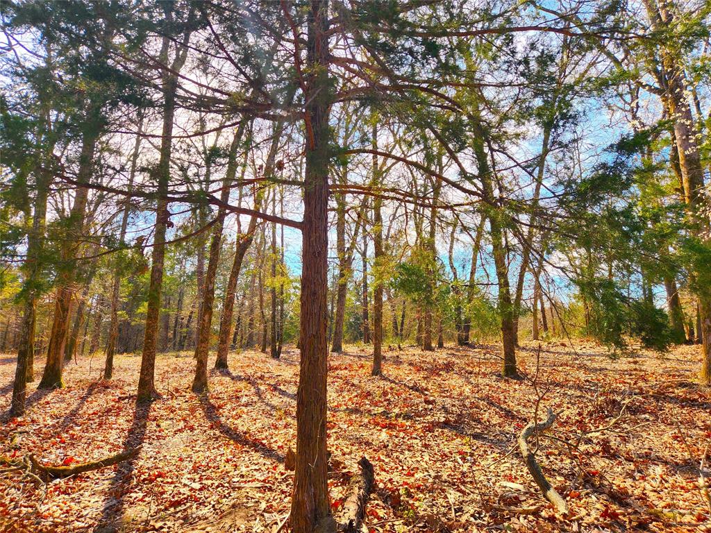 Safari Waters Ranch - Land