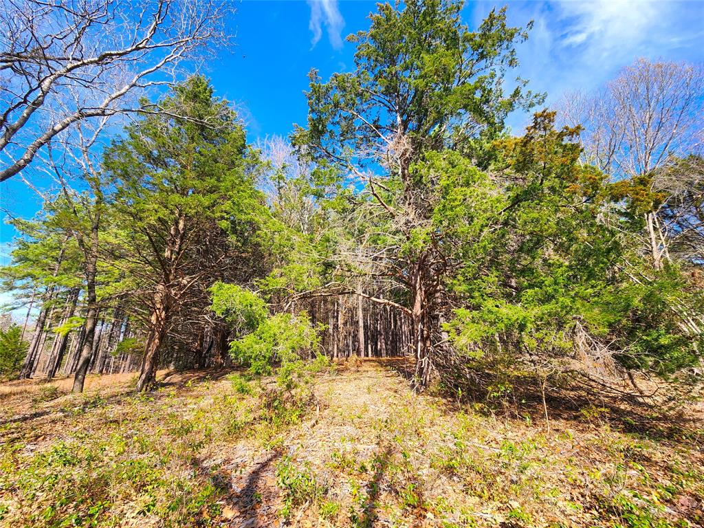 Safari Waters Ranch - Land