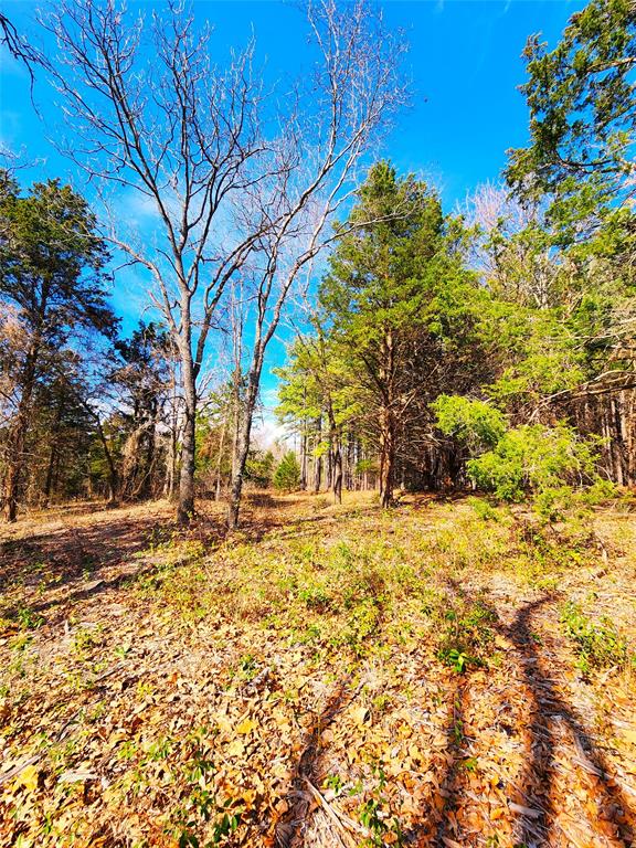 Safari Waters Ranch - Land