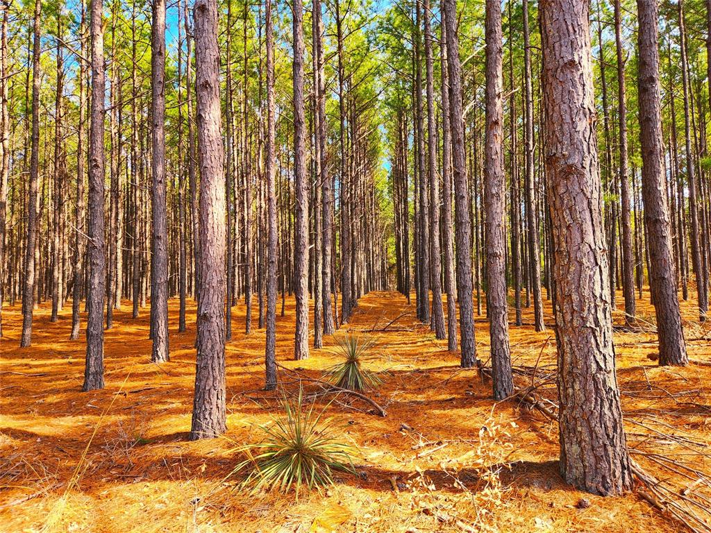 Safari Waters Ranch - Land