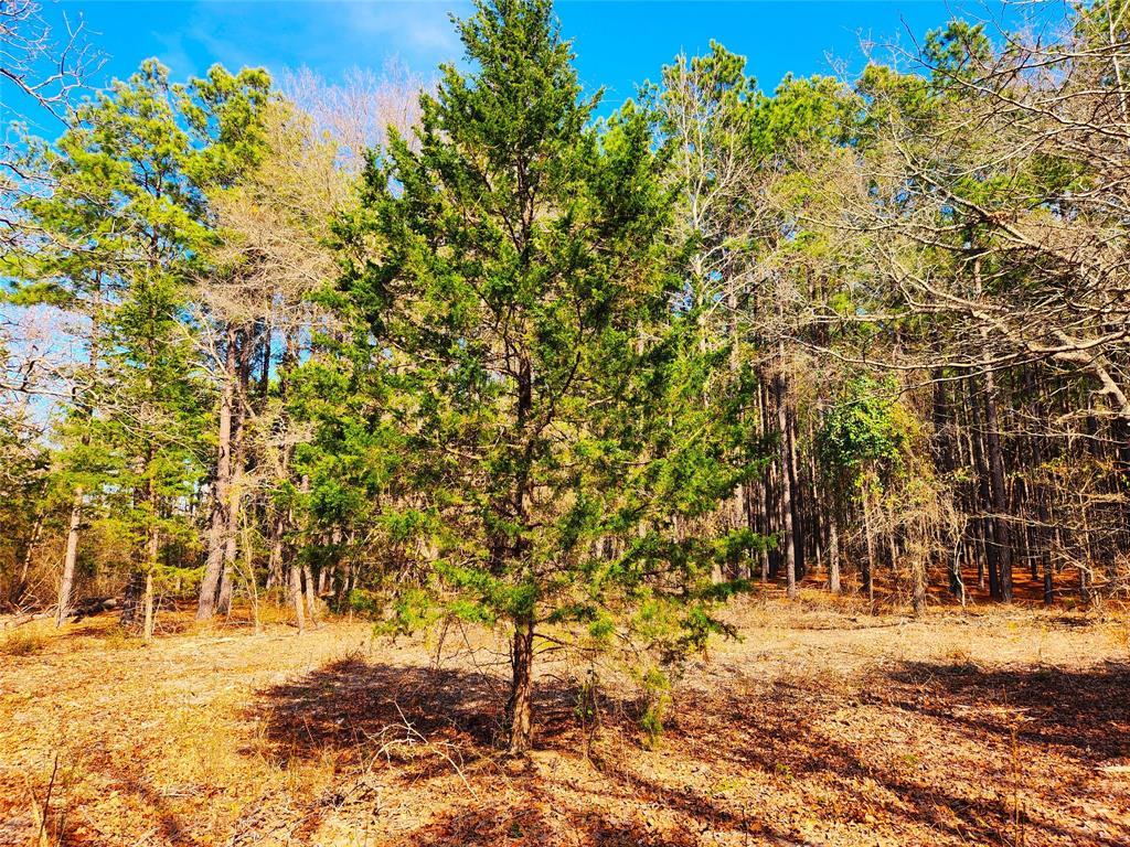 Safari Waters Ranch - Land