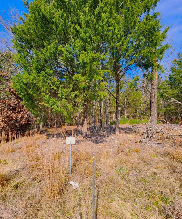 Safari Waters Ranch - Land