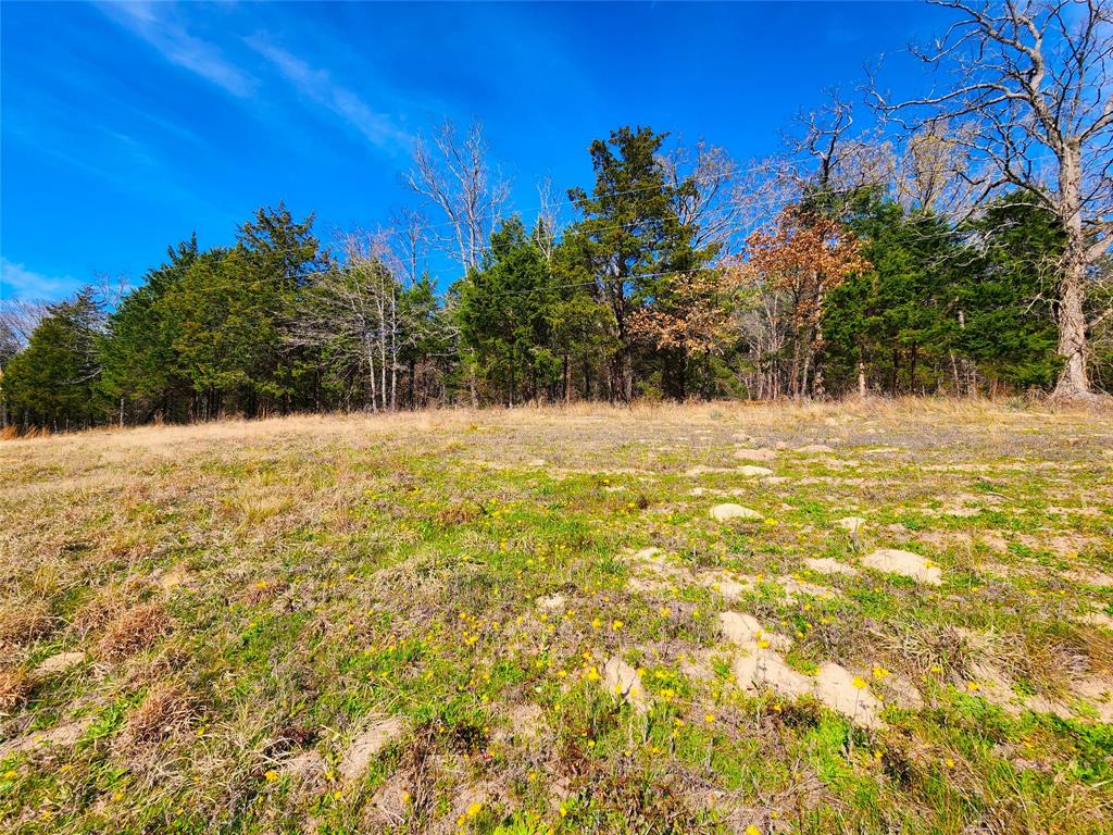 Safari Waters Ranch - Land