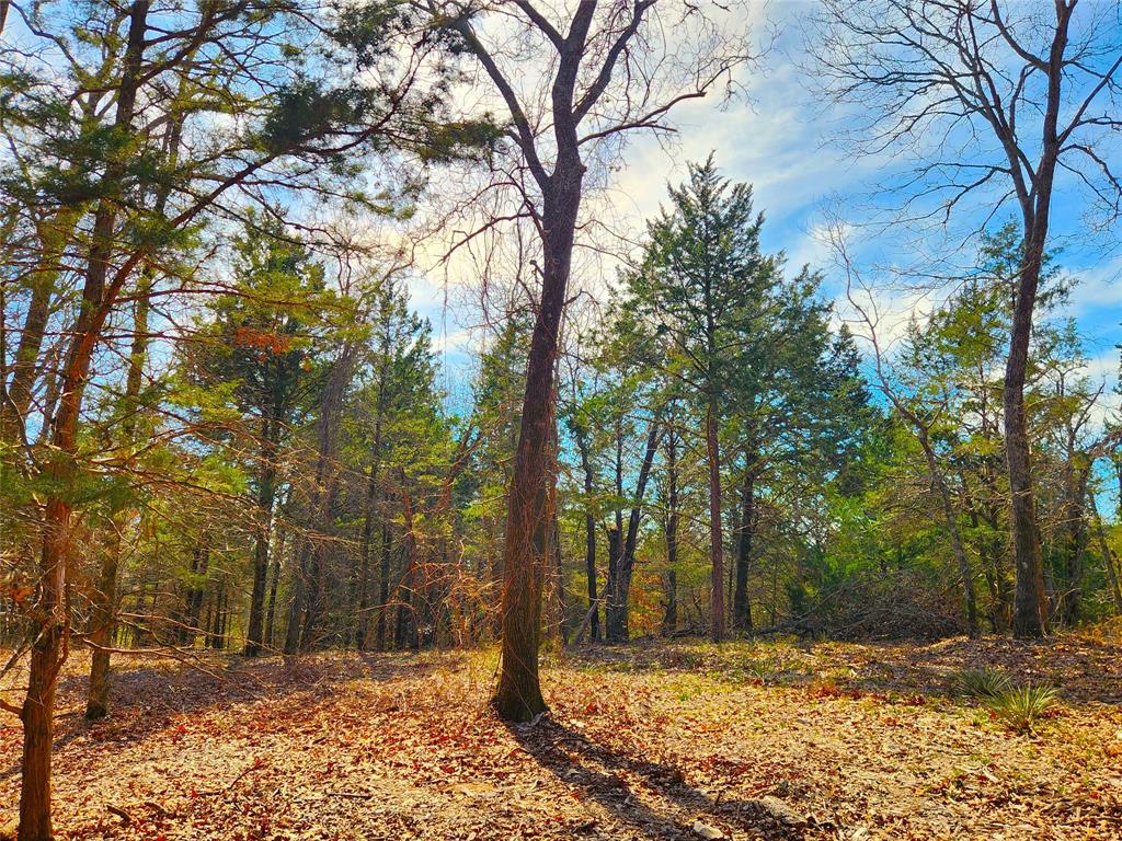 Safari Waters Ranch - Land