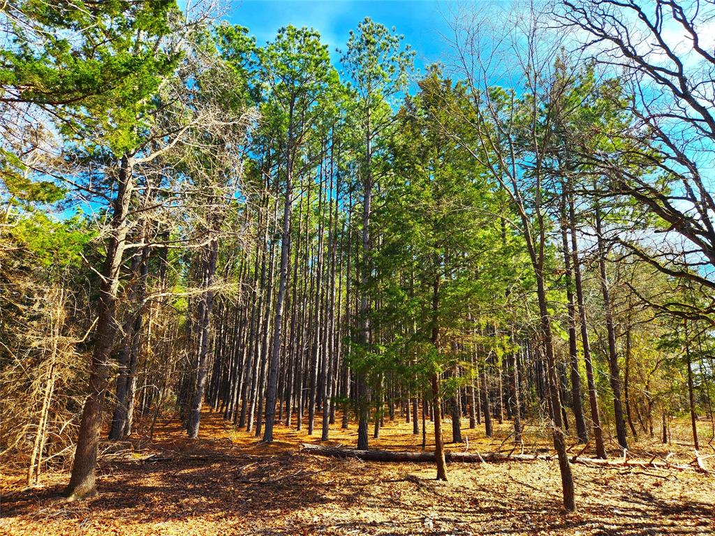 Safari Waters Ranch - Land