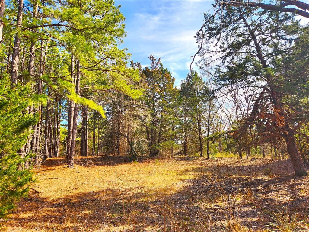 Safari Waters Ranch - Land